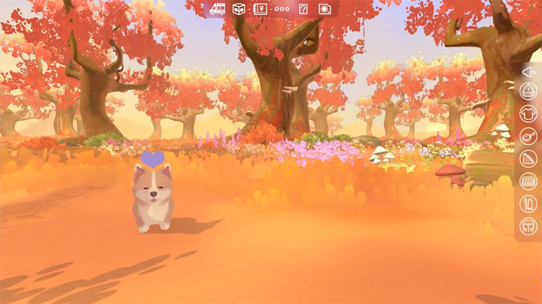 【美版】露营车 家的旅程 .Camper Van Make it Home 中文插图6