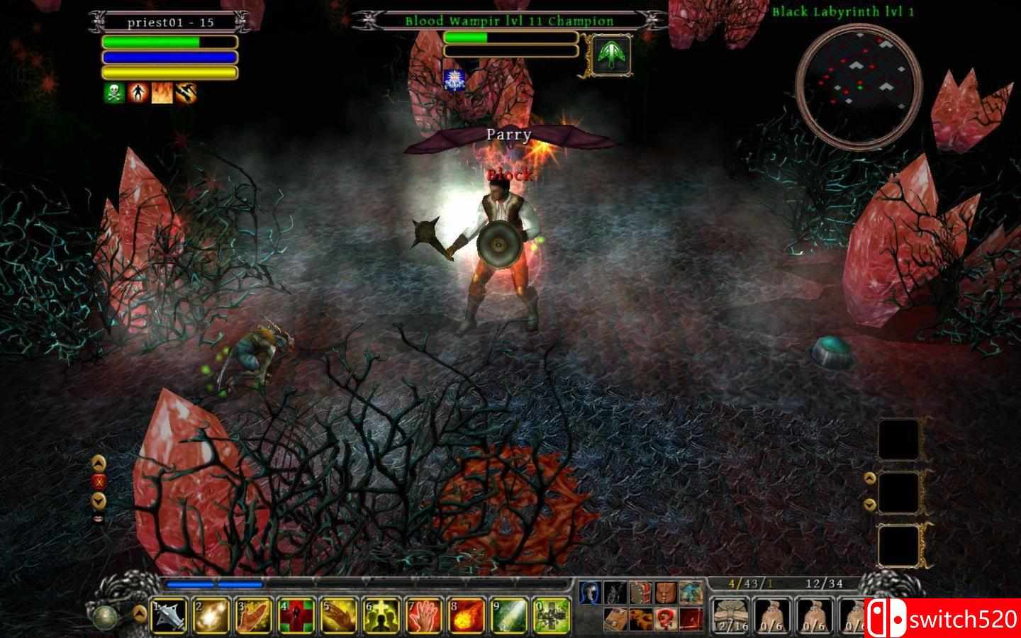 《丁神的诅咒（Din’s Curse）》v1.034 [英文]插图1